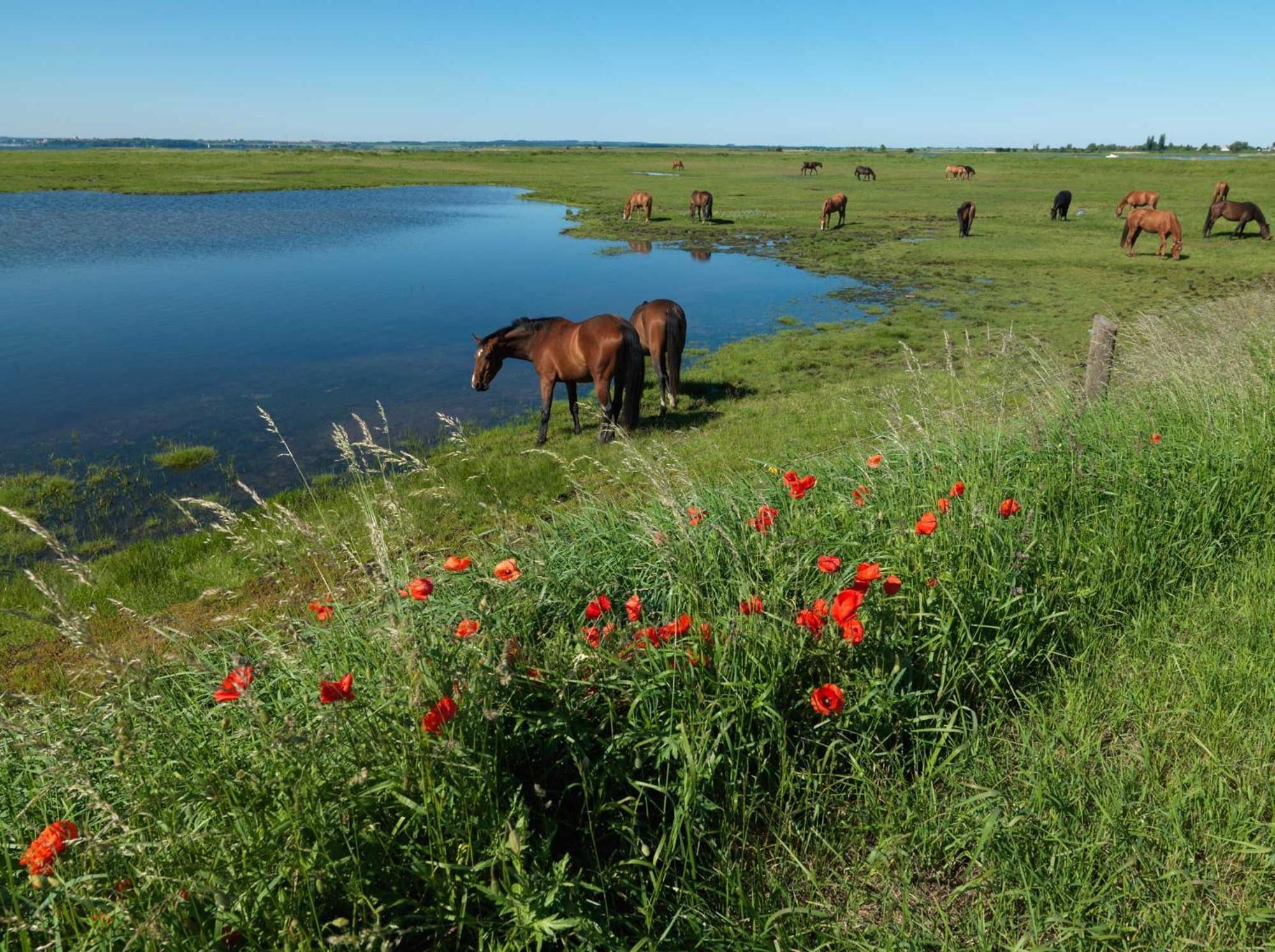 Апартаменти Gaude Tiet Інзель-Пель Екстер'єр фото